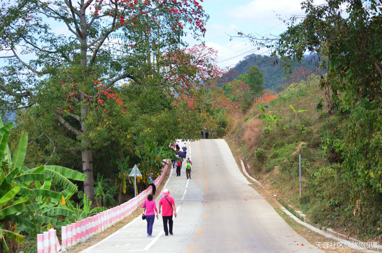 沿路百花香，心怡行昌江